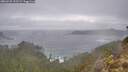 ./images/calvert/foggy-cove/20260225/foggy-cove20260225_105501M.jpg