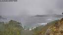 ./images/calvert/foggy-cove/20260225/foggy-cove20260225_110001M.jpg