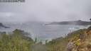 ./images/calvert/foggy-cove/20260225/foggy-cove20260225_111001M.jpg