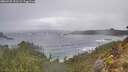 ./images/calvert/foggy-cove/20260225/foggy-cove20260225_111501M.jpg