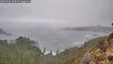 ./images/calvert/foggy-cove/20260225/foggy-cove20260225_113001M.jpg