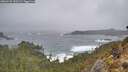 ./images/calvert/foggy-cove/20260225/foggy-cove20260225_150501M.jpg