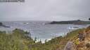 ./images/calvert/foggy-cove/20260225/foggy-cove20260225_151502M.jpg