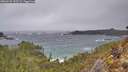 ./images/calvert/foggy-cove/20260225/foggy-cove20260225_153501M.jpg