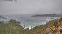 ./images/calvert/foggy-cove/20260225/foggy-cove20260225_155501M.jpg