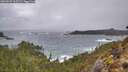 ./images/calvert/foggy-cove/20260225/foggy-cove20260225_163502M.jpg