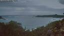 ./images/calvert/foggy-cove/20260226/foggy-cove20260226_071001M.jpg
