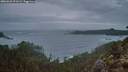 ./images/calvert/foggy-cove/20260226/foggy-cove20260226_071501M.jpg