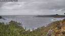 ./images/calvert/foggy-cove/20260226/foggy-cove20260226_074501M.jpg