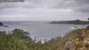 ./images/calvert/foggy-cove/20260226/foggy-cove20260226_075501M.jpg