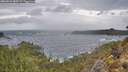 ./images/calvert/foggy-cove/20260226/foggy-cove20260226_083501M.jpg