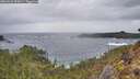 ./images/calvert/foggy-cove/20260226/foggy-cove20260226_090001M.jpg