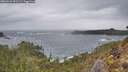 ./images/calvert/foggy-cove/20260226/foggy-cove20260226_091501M.jpg