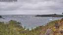 ./images/calvert/foggy-cove/20260226/foggy-cove20260226_092501M.jpg