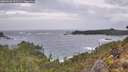 ./images/calvert/foggy-cove/20260226/foggy-cove20260226_102501M.jpg