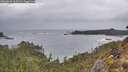 ./images/calvert/foggy-cove/20260226/foggy-cove20260226_105501M.jpg