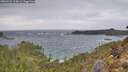 ./images/calvert/foggy-cove/20260226/foggy-cove20260226_114001M.jpg