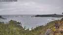 ./images/calvert/foggy-cove/20260226/foggy-cove20260226_115502M.jpg