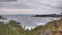 ./images/calvert/foggy-cove/20260226/foggy-cove20260226_155502M.jpg