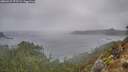 ./images/calvert/foggy-cove/20260227/foggy-cove20260227_075501M.jpg