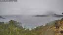 ./images/calvert/foggy-cove/20260227/foggy-cove20260227_081001M.jpg
