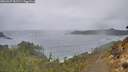 ./images/calvert/foggy-cove/20260227/foggy-cove20260227_081501M.jpg