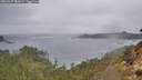 ./images/calvert/foggy-cove/20260227/foggy-cove20260227_082001M.jpg
