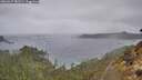 ./images/calvert/foggy-cove/20260227/foggy-cove20260227_082501M.jpg