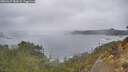 ./images/calvert/foggy-cove/20260227/foggy-cove20260227_083002M.jpg