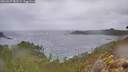 ./images/calvert/foggy-cove/20260227/foggy-cove20260227_083501M.jpg