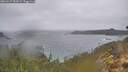./images/calvert/foggy-cove/20260227/foggy-cove20260227_084501M.jpg