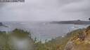 ./images/calvert/foggy-cove/20260227/foggy-cove20260227_085001M.jpg