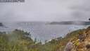 ./images/calvert/foggy-cove/20260227/foggy-cove20260227_090001M.jpg