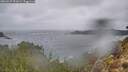 ./images/calvert/foggy-cove/20260227/foggy-cove20260227_091001M.jpg