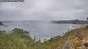 ./images/calvert/foggy-cove/20260227/foggy-cove20260227_091501M.jpg
