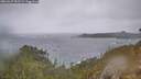 ./images/calvert/foggy-cove/20260227/foggy-cove20260227_092501M.jpg