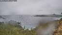 ./images/calvert/foggy-cove/20260227/foggy-cove20260227_093002M.jpg