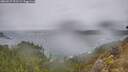 ./images/calvert/foggy-cove/20260227/foggy-cove20260227_093501M.jpg