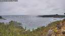 ./images/calvert/foggy-cove/20260227/foggy-cove20260227_103001M.jpg