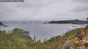 ./images/calvert/foggy-cove/20260227/foggy-cove20260227_112502M.jpg