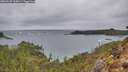 ./images/calvert/foggy-cove/20260227/foggy-cove20260227_115001M.jpg