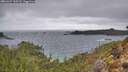 ./images/calvert/foggy-cove/20260227/foggy-cove20260227_120502M.jpg