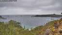 ./images/calvert/foggy-cove/20260227/foggy-cove20260227_125001M.jpg