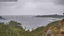 ./images/calvert/foggy-cove/20260227/foggy-cove20260227_125501M.jpg