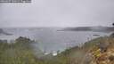 ./images/calvert/foggy-cove/20260227/foggy-cove20260227_130501M.jpg