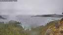 ./images/calvert/foggy-cove/20260227/foggy-cove20260227_131001M.jpg