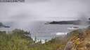 ./images/calvert/foggy-cove/20260227/foggy-cove20260227_133001M.jpg