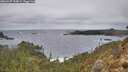./images/calvert/foggy-cove/20260227/foggy-cove20260227_134001M.jpg