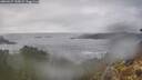 ./images/calvert/foggy-cove/20260227/foggy-cove20260227_155001M.jpg