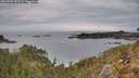 ./images/calvert/foggy-cove/20260301/foggy-cove20260301_155501M.jpg